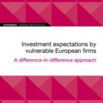 EIB Working Paper 2022/04 - Investment expectations by vulnerable European firms