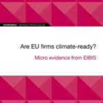 EIB Working Paper 2022/08 - Are EU firms climate-ready?