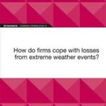 EIB Working Paper 2022/10 - How do firms cope with losses from extreme weather events?