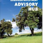 European Investment Advisory Hub Annual report 2019
