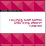 EIB Working Papers 2019/02 - How energy audits promote SMEs’ energy efficiency investment