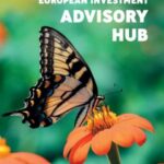European Investment Advisory Hub Report 2021