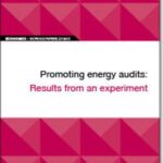 EIB Working Papers 2019/06 - Promoting energy audits: Results from an experiment