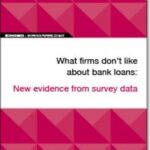 EIB Working Papers 2019/07 - What firms don’t like about bank loans: New evidence from survey data