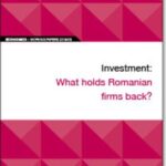 EIB Working Papers 2019/08 - Investment: What Holds Romanian Firms Back?