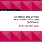 EIB Working Papers 2019/10 - Structural and cyclical determinants of access to finance: Evidence from Egypt