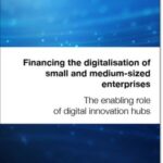 Financing the digitalisation of small and medium-sized enterprises: The enabling role of digital innovation hubs