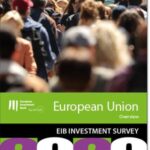 EIBIS 2020 - EU overview