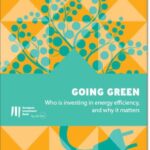 Going green: Who is investing in energy efficiency, and why it matters