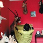 Animal Acts: Performing Species Today