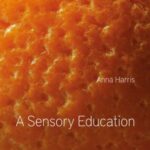 A Sensory Education
