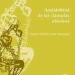 Anulabilidad de las cláusulas abusivas