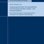 Lange Jugendstrafen bei jugendlichen und heranwachsenden Gewalt- und Sexualstraftätern - Eine Untersuchung des spezialpräventiven Charakters des (Jugend-)Strafvollzugs