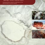 "Spongy, slimy, cosy & more" - Commemorative Volume in Celebration of the 60th Birthday of Joachim Reitner