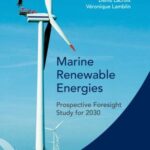 Marine renewable energies: Prospective foresight study for 2030