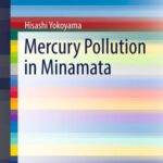Mercury Pollution in Minamata