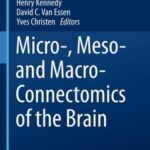 Micro-, Meso- and Macro-Connectomics of the Brain