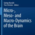 Micro-, Meso- and Macro-Dynamics of the Brain
