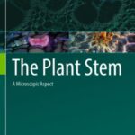 The Plant Stem: a Microscopic Aspect