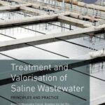 Treatment and Valorisation of Saline Wastewater: Principles and Practice