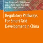 Regulatory Pathways for Smart Grid Development in China