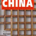 The China Boom and its Discontents