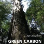 Green Carbon Part 1: The role of natural forests in carbon storage