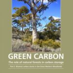 Green Carbon Part 2: The role of natural forests in carbon storage