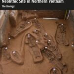 Man Bac: The Excavation of a Neolithic Site in Northern Vietnam