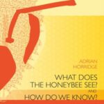 What does the honeybee see? And how do we know?: A critique of scientific reason