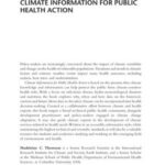 Chapter 8: Participant-Created Documents As An Elicitation Tool