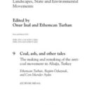 Chapter 9 Coal, ash, and other tales