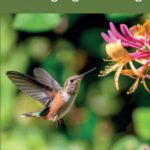 Unpacking Creativity for Language Teaching