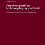 Datenbankgestützte Rechnungslegungspublizität