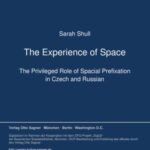 The Experience of Space