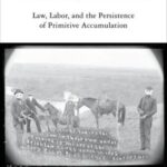 The Cultural Production of Intellectual Property Rights