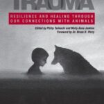 Transforming Trauma: Resilience and Healing Through Our Connections With Animals
