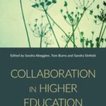 Collaboration in Higher Education