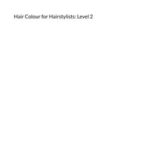 Hair Colour for Hairstylists:: Level 2