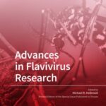 Advances in Flavivirus Research