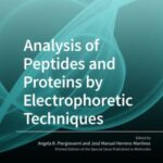Analysis of Peptides and Proteins by Electrophoretic Techniques