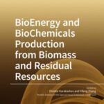 BioEnergy and BioChemicals Production from Biomass and Residual Resources