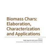 Biomass Chars: Elaboration, Characterization and Applications
