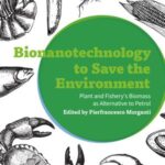 Bionanotechnology to Save the Environment: Plant and Fishery's Biomass as Alternative to Petrol