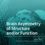 Brain Asymmetry of Structure and/or Function