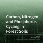 Carbon, Nitrogen and Phosphorus Cycling in Forest Soils