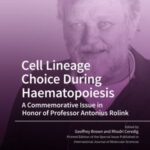Cell Lineage Choice During Haematopoiesis: a Commemorative Issue in Honor of Professor Antonius Rolink