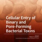 Cellular Entry of Binary and Pore-Forming Bacterial Toxins