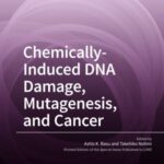 Chemically-Induced DNA Damage, Mutagenesis, and Cancer
