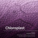 Chloroplast